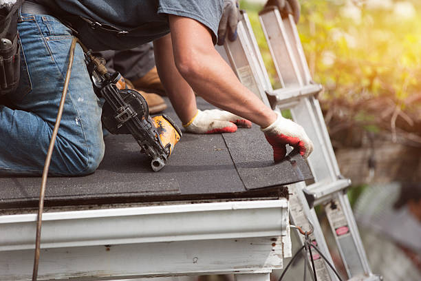 Best Roof Gutter Cleaning  in Shafter, CA